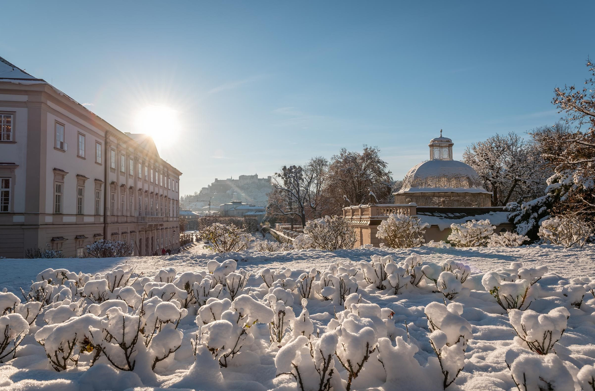 Mirabell nevado.