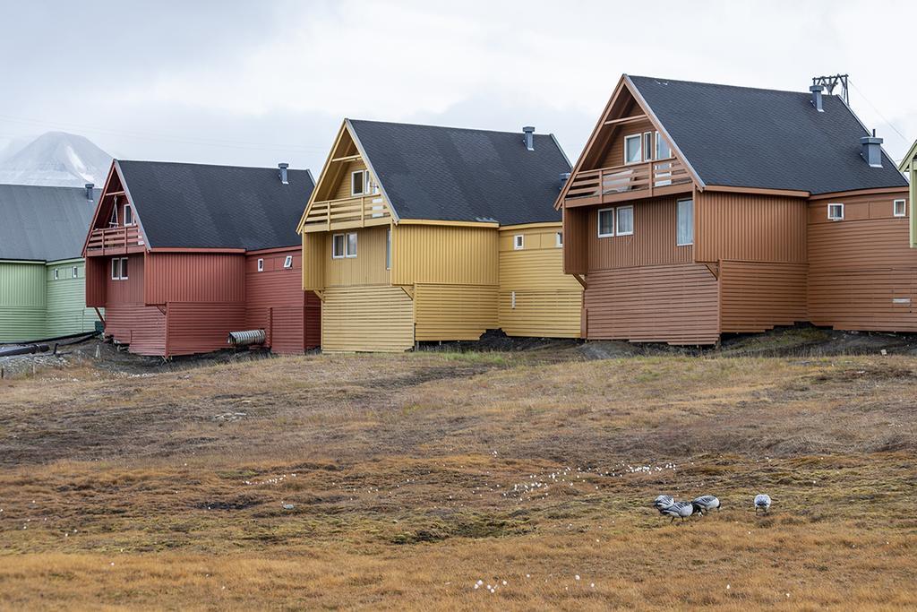 En Svalbard no se pone el sol durante 6 meses al año.