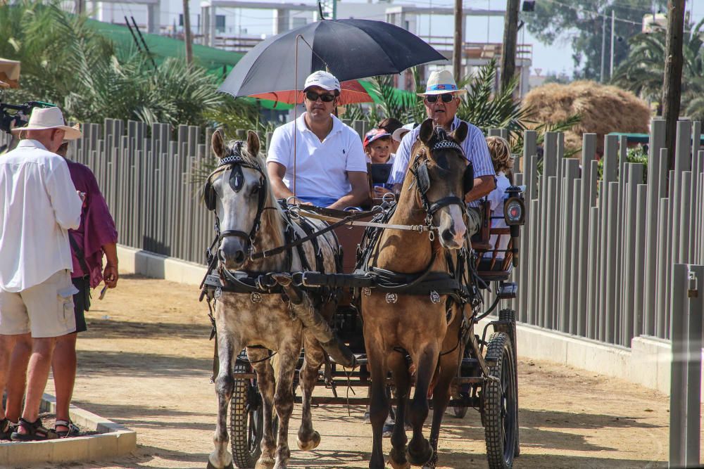 Dolores se va de romería huertana