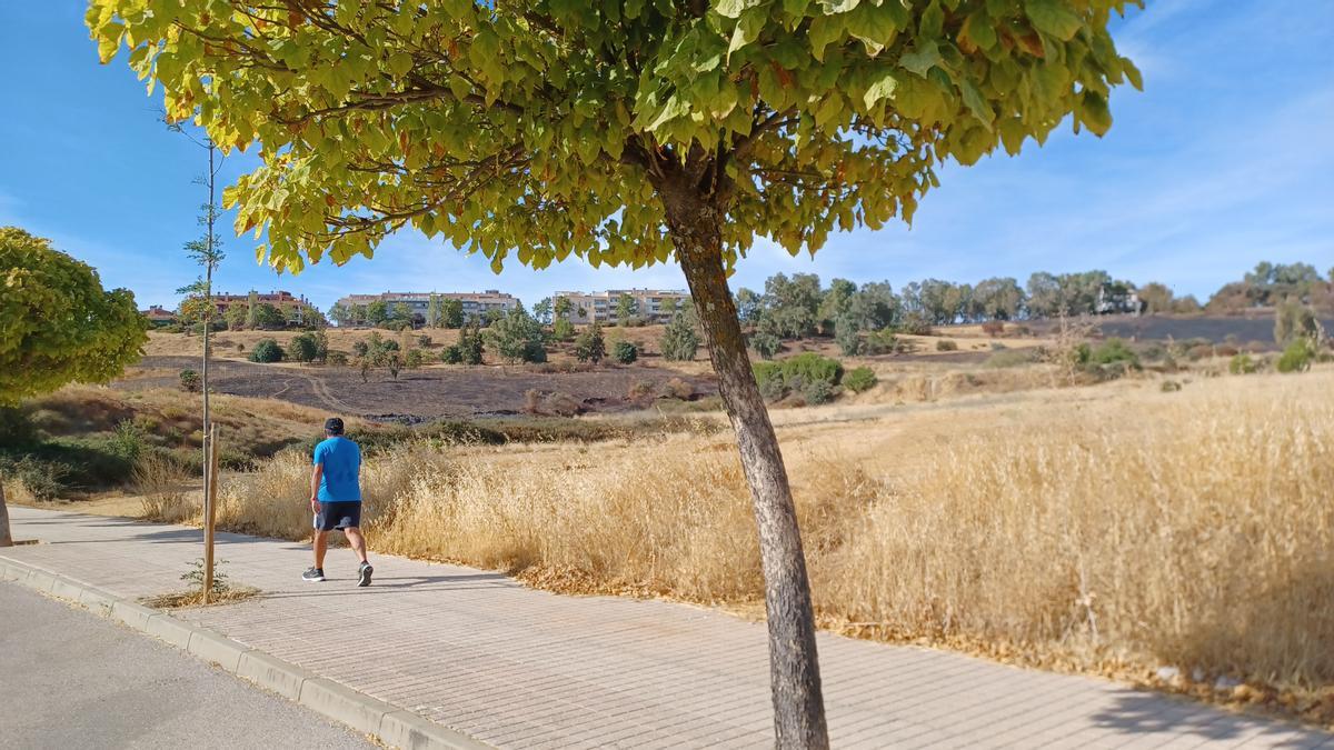 Panorámica entre Montesol y el Paseo Alto, donde habrá una red de caminos.