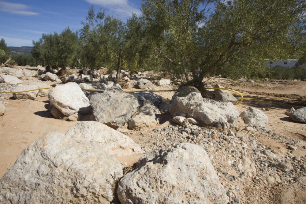 Abren el tramo afectado por las lluvias en la Font de la Figuera