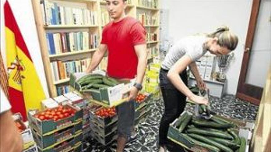 Donan a los pobres toneladas de verduras por la ‘crisis del pepino’