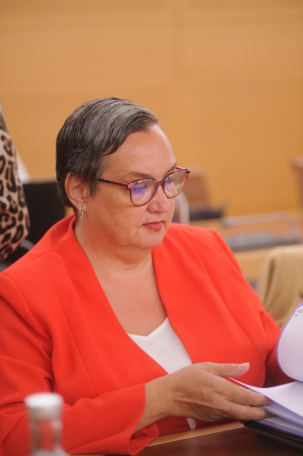 Marián Franquet, consejera del PSOE en el Cabildo de Tenerife