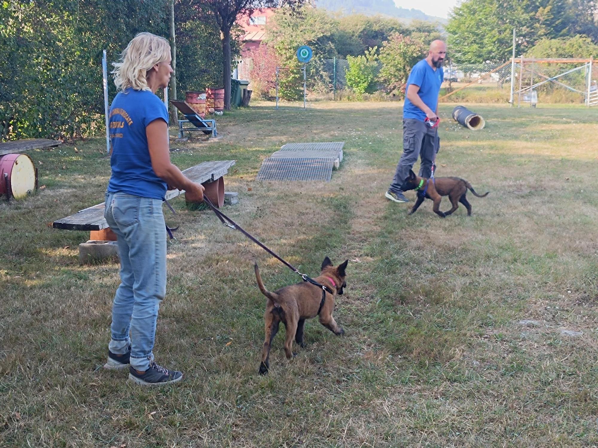 Así entrenan los nuevos integrantes de la Unidad Canina de Rescate del Principado