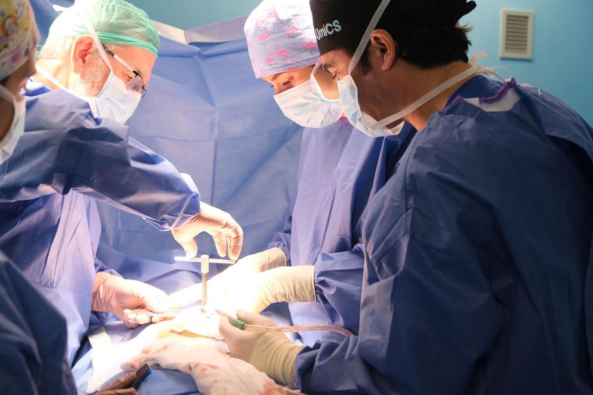 Los doctores Ricardo Guijarro, Eva García del Olmo y Enrique Pastor durante una intervención.