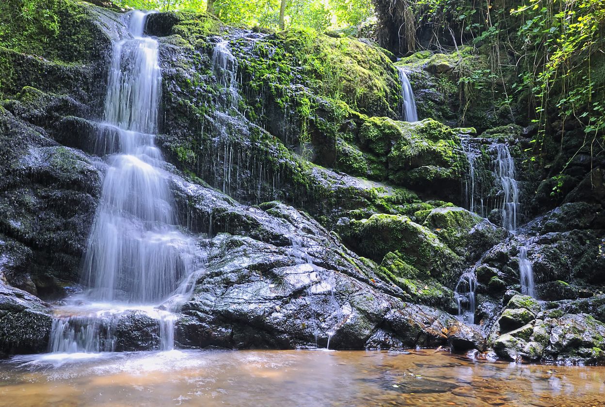 En Muniellos el viajero solo encontrará senderos naturales y un silencio que se ve interrumpido por el ruido del agua.
