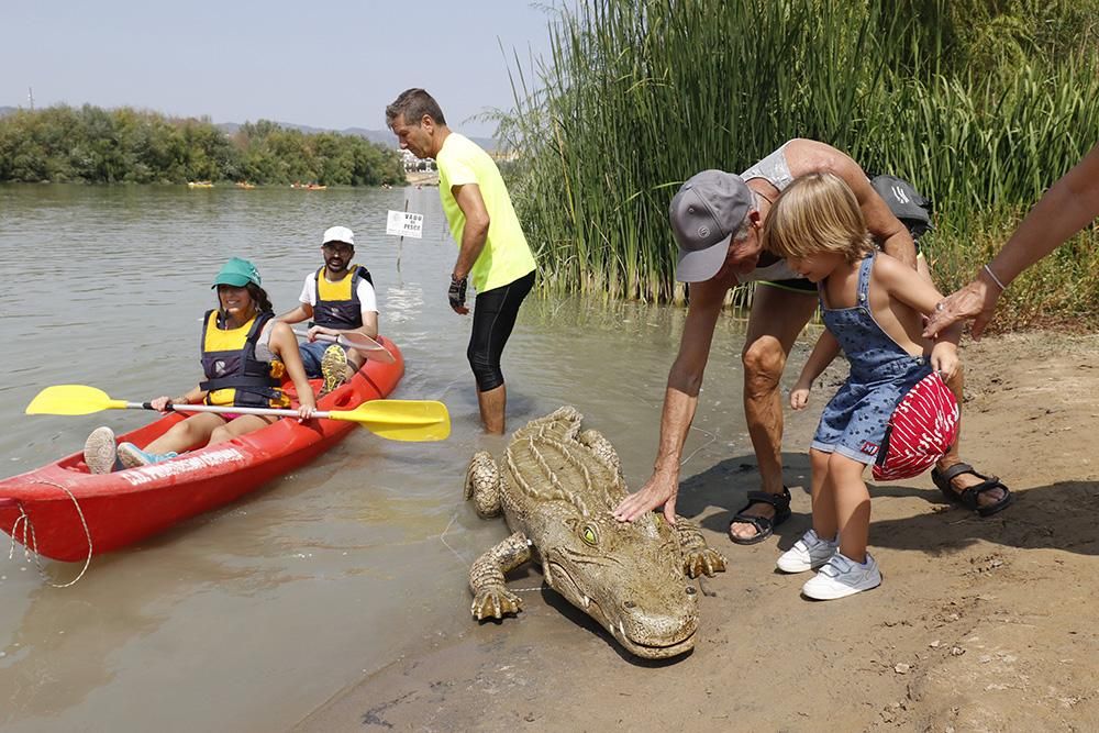 Fotogalería / Ruta del Caimán por el río Guadalquivir.