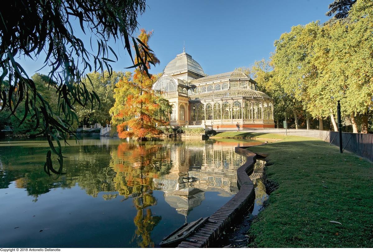 El sol brilla en el Parque de El Retiro en Madrid.