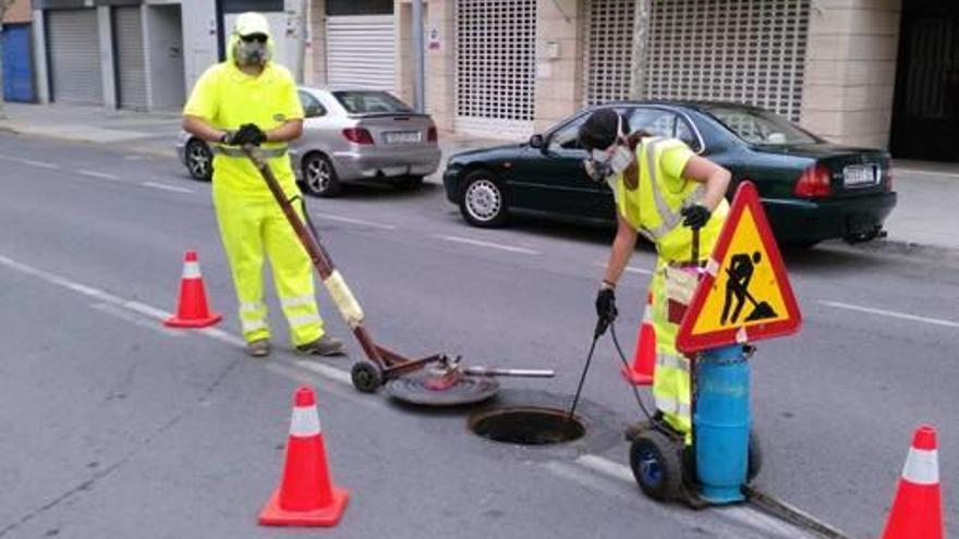 Trabajos de control de plagas de cucaracha en Aspe.