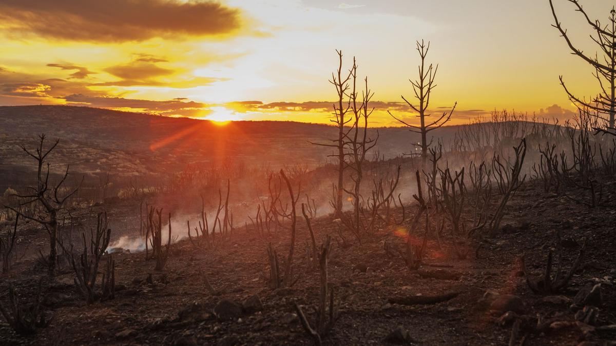 El humo del incendio de Bejís llega a Formentera y se queda a las puertas de Ibiza.