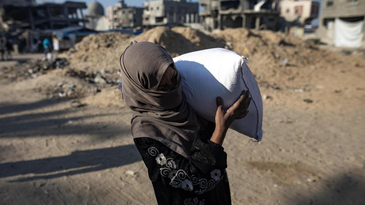 Distribución de ayuda alimentaria en la Franja de Gaza.