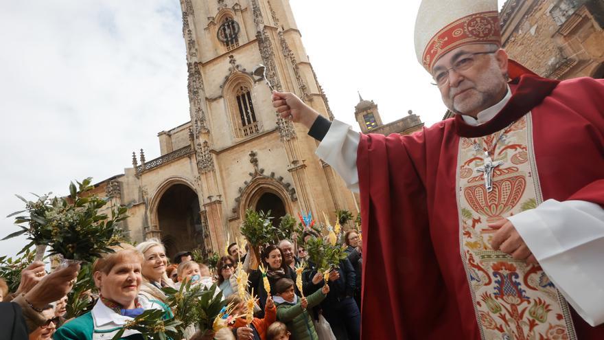 Las imágenes del Domingo de Ramos en Oviedo: procesión a la Catedral, la borriquilla de San Pedro de los Arcos...