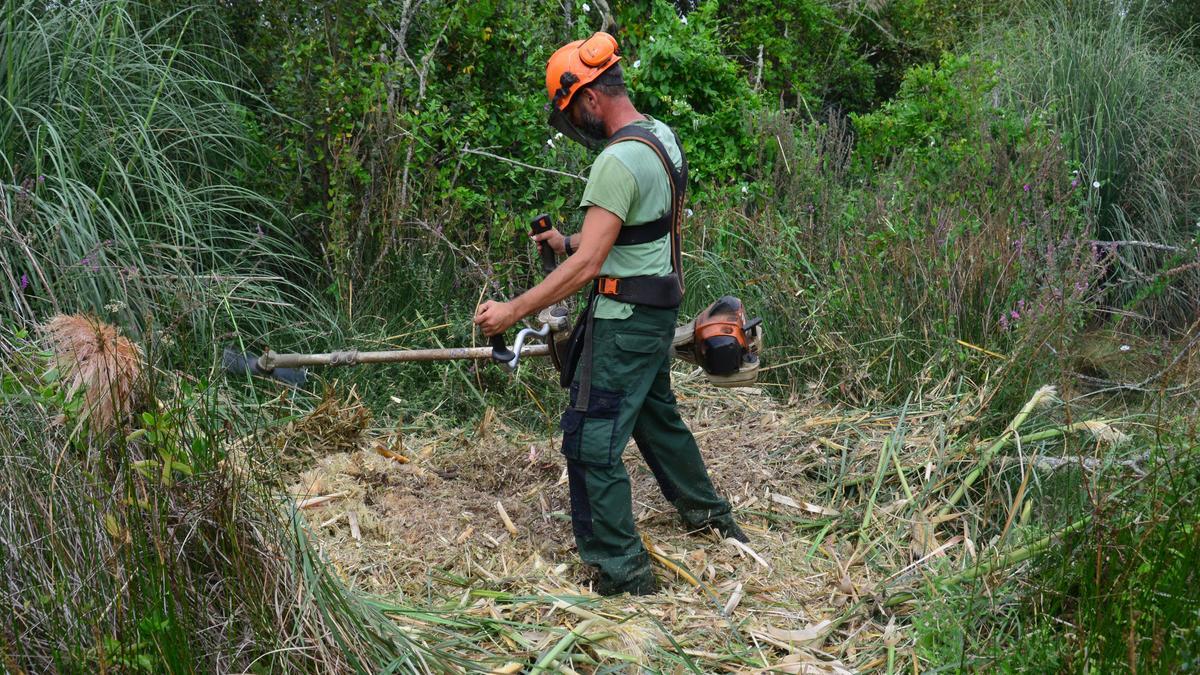 Un integrante de la cooperativa Pouso da Serra desbroza una pampa, antes de cubrirla con plástico.