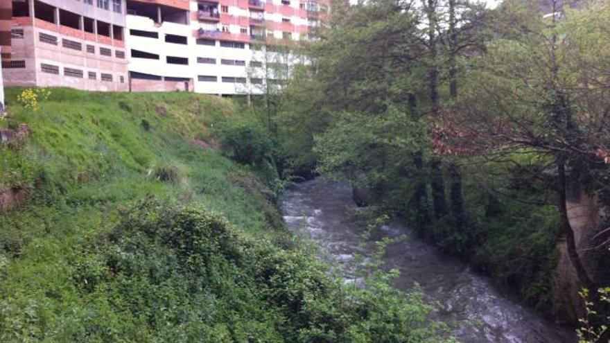 El río Luiña, muy crecido ayer, a su paso por La Cortinona, donde apareció la caña del pescador.