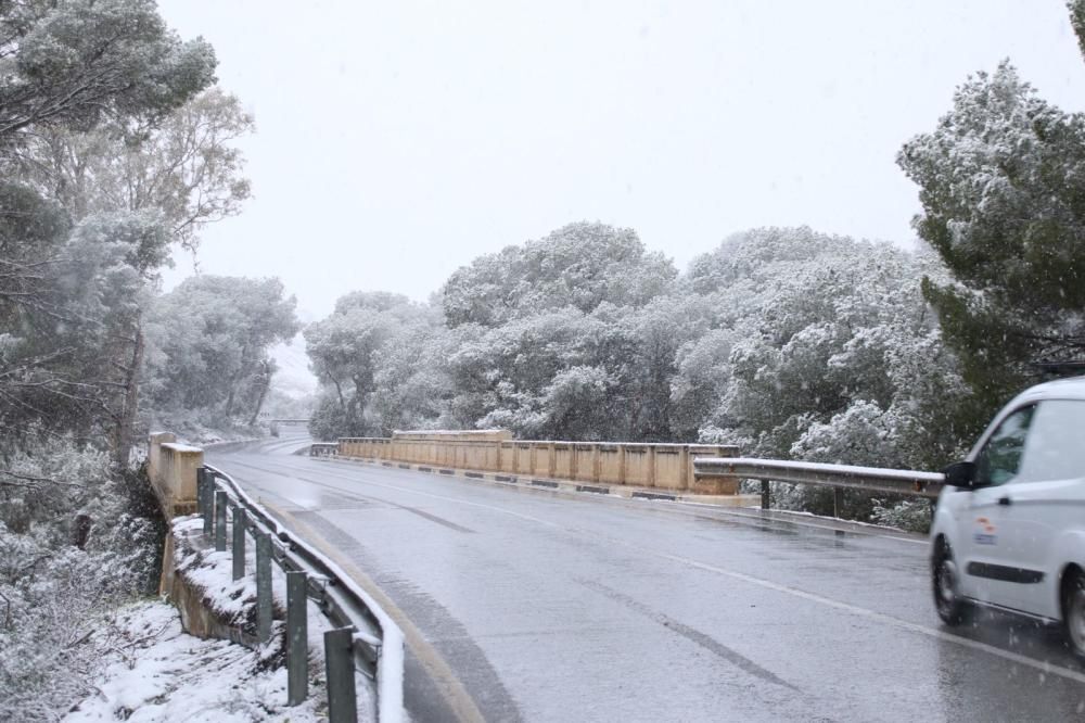 Playas nevadas en la Vega Baja