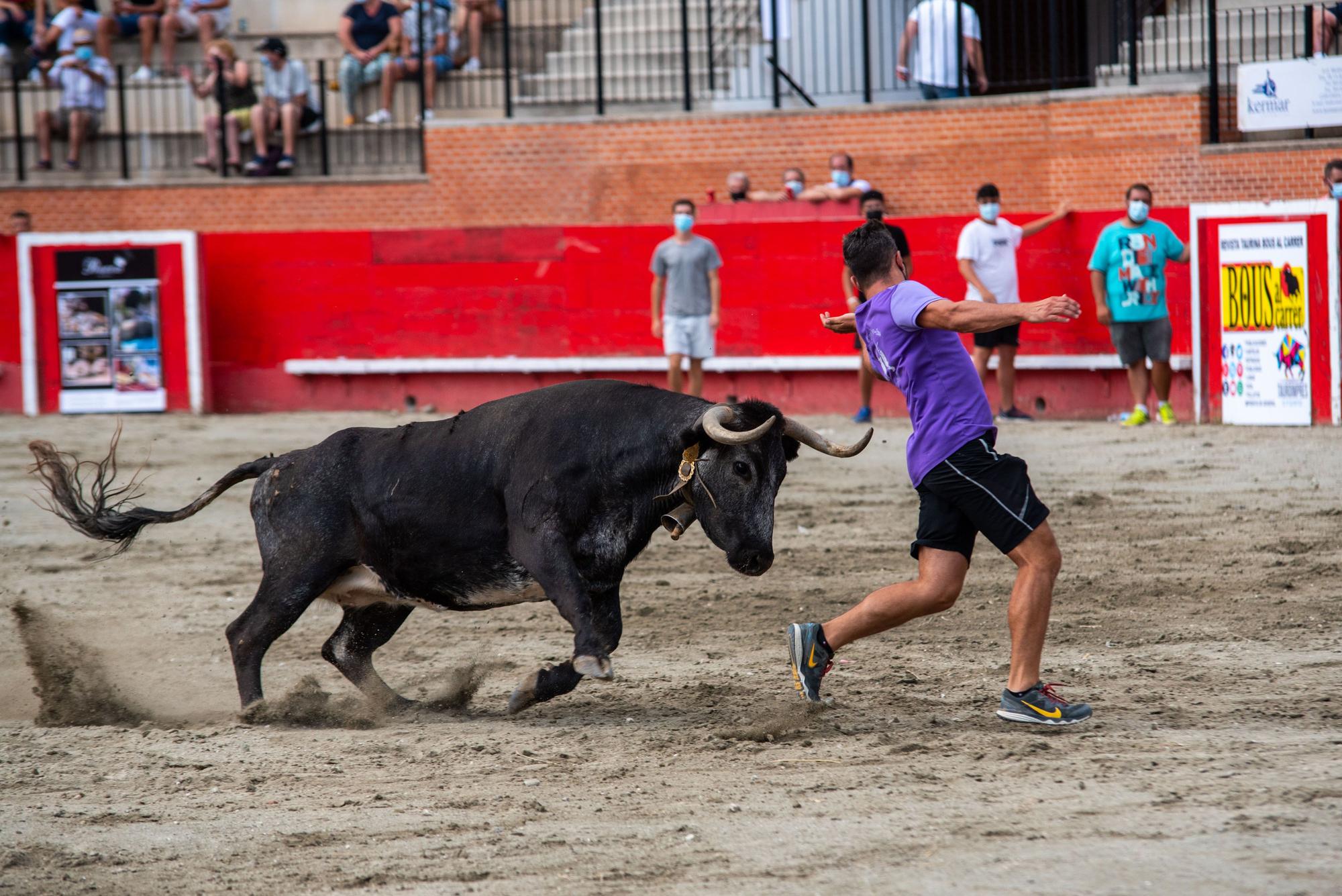 La Pascua Taurina devuelve tras 565 días la emoción de los ‘bous’ a Onda