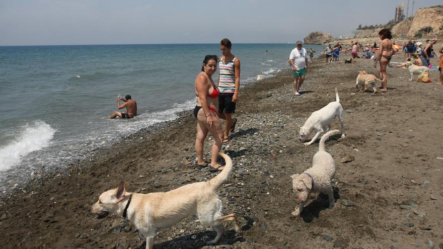 Firmas para una futura playa de perros en Huelin