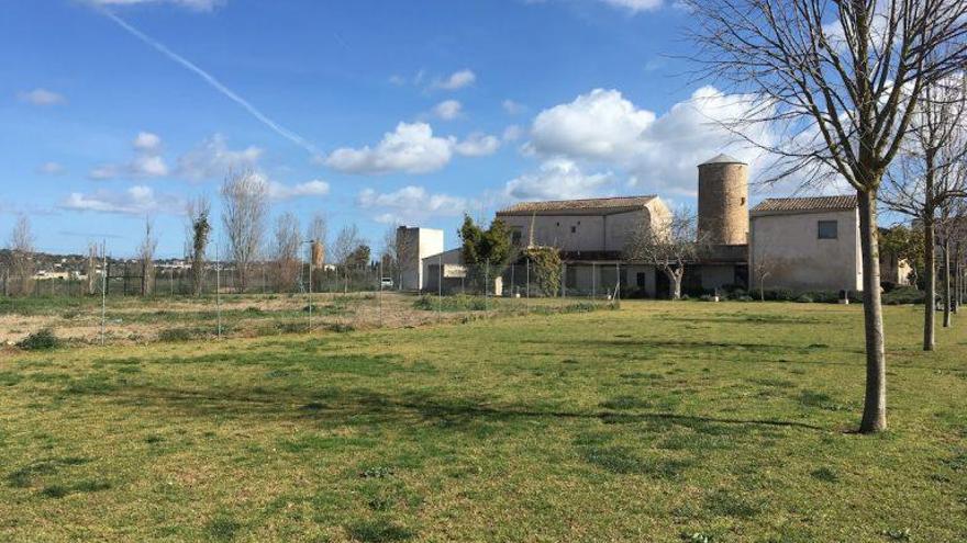 Manacor cede un solar en el parque del Molí den Beió para el nuevo centro sanitario. | SEBASTIÀ SANSÓ