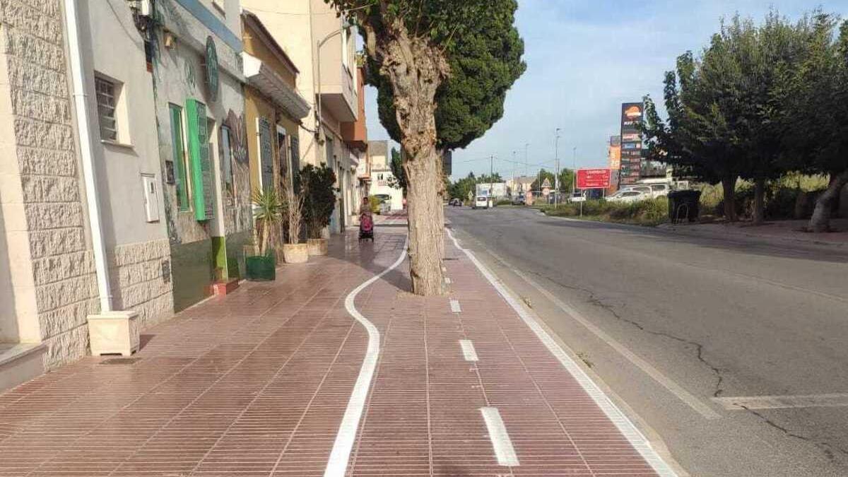 El trazado del nuevo carril bici salva una morera en Callosa de Segura