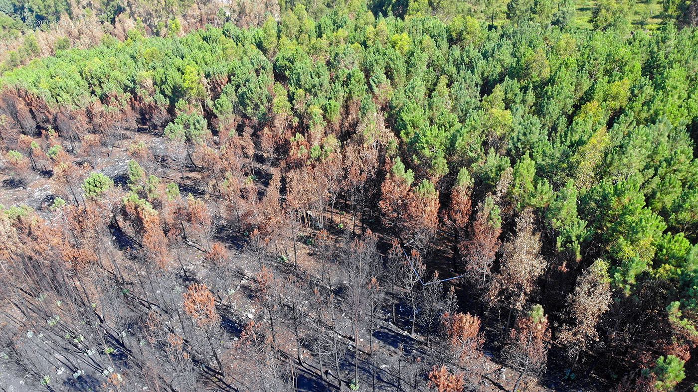 Rastreadores de incendios