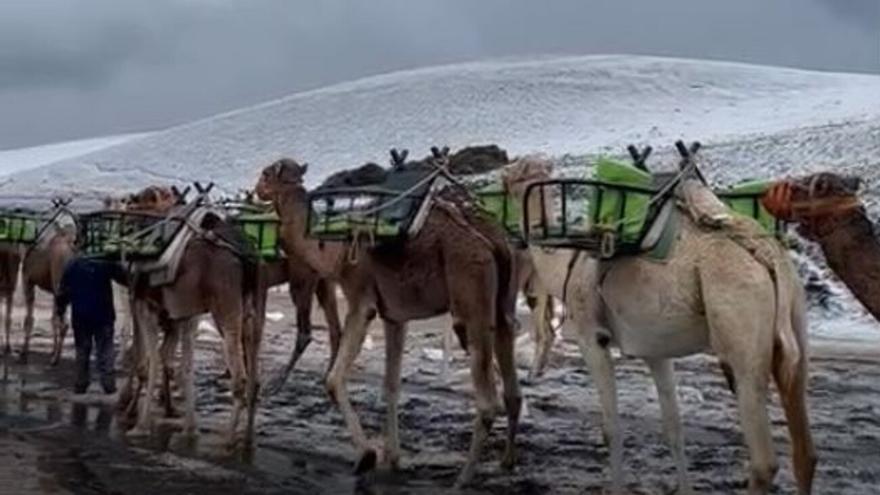 La viral excursión de un taxista y dos turistas por la &#039;nieve&#039; de Lanzarote