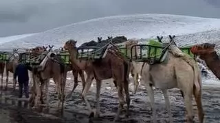 La excursión por la 'nieve' de Lanzarote de un taxista y dos turistas que se ha vuelto viral: “Parece el Teide pero es Timanfaya”