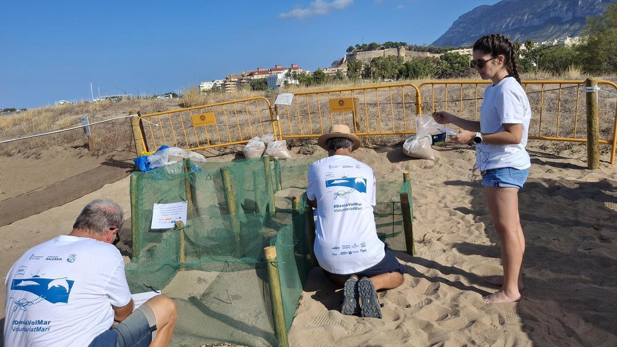 Toni Martínez y Héctor y Blanca, de Eucrante, colocan los carteles en los cuatro nidos de las puestas de Diana