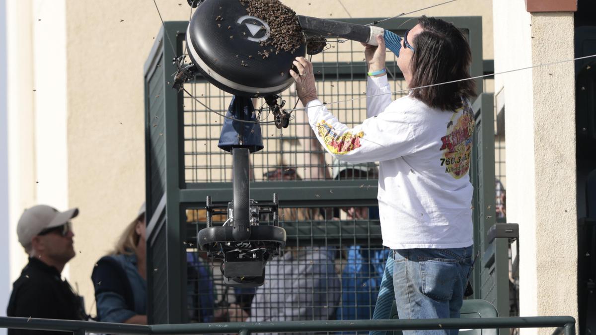 Lance Davis retirando las abejas