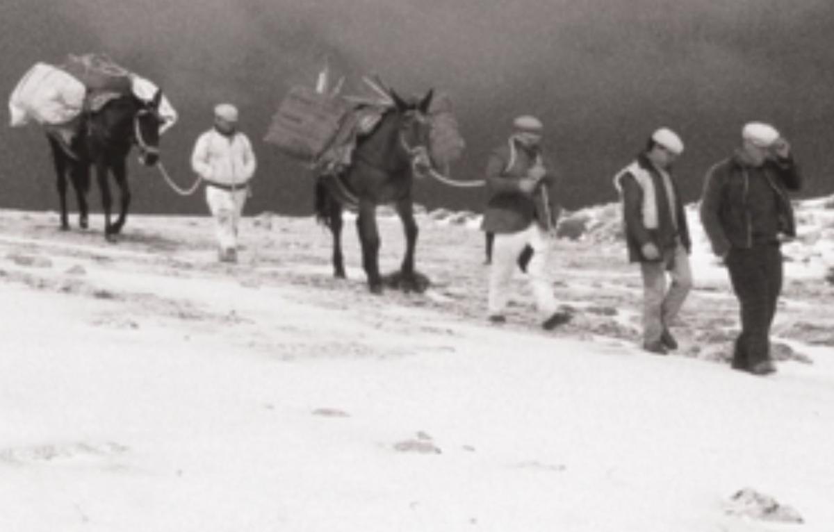Neveros transportando hielo desde la Sierra de las Nieves