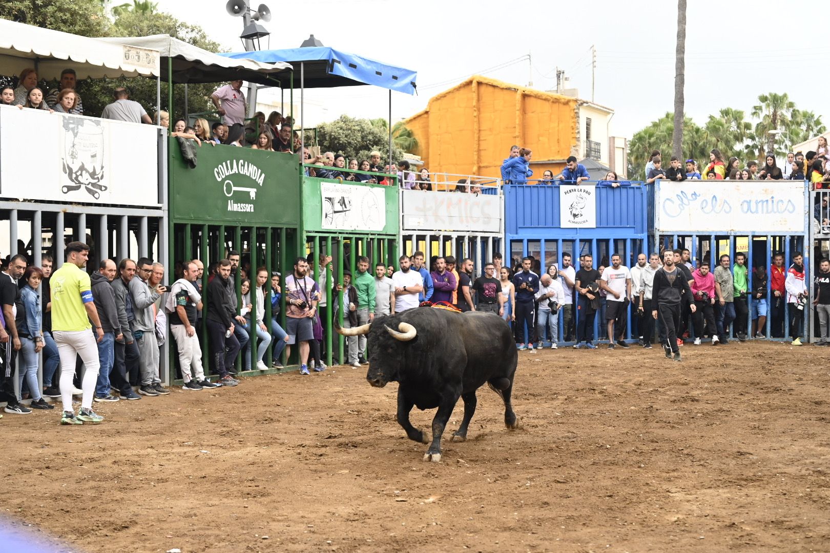 Galería | Las imágenes de la penúltima tarde de toros de las fiestas de Almassora