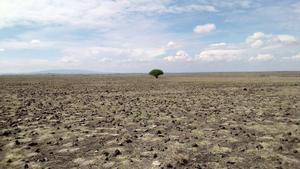 Terreno afectado por la sequía.