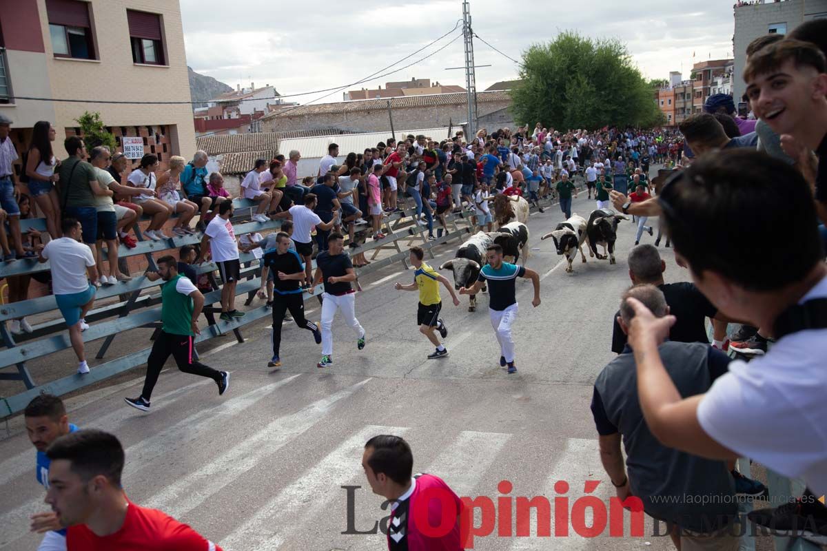 Primer encierro de la Feria del Arroz de Calasparra