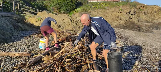 Voluntaris de Platges Netes recullen brossa a les cales del Port de la Selva