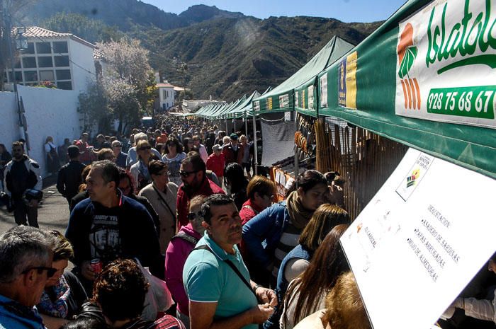 FIESTAS DEL ALMENDRO EN FLOR TEJEDA