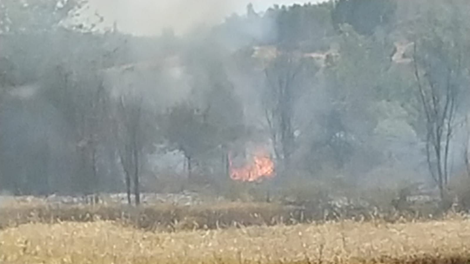 Imágenes del incendio en la N-432