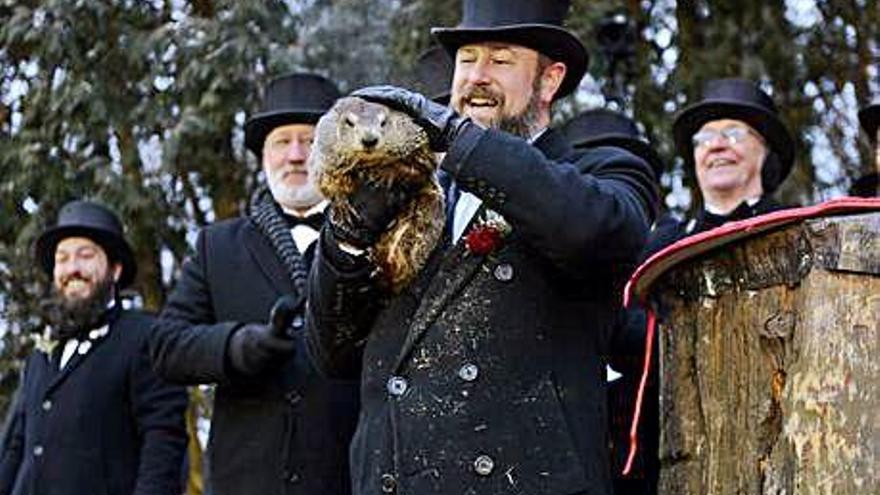 La marmota Phil, just després de sortir del seu cau.