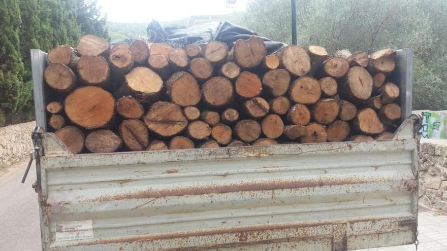 15.140 Kilogramm Holz beschlagnahmte das Ministerium.