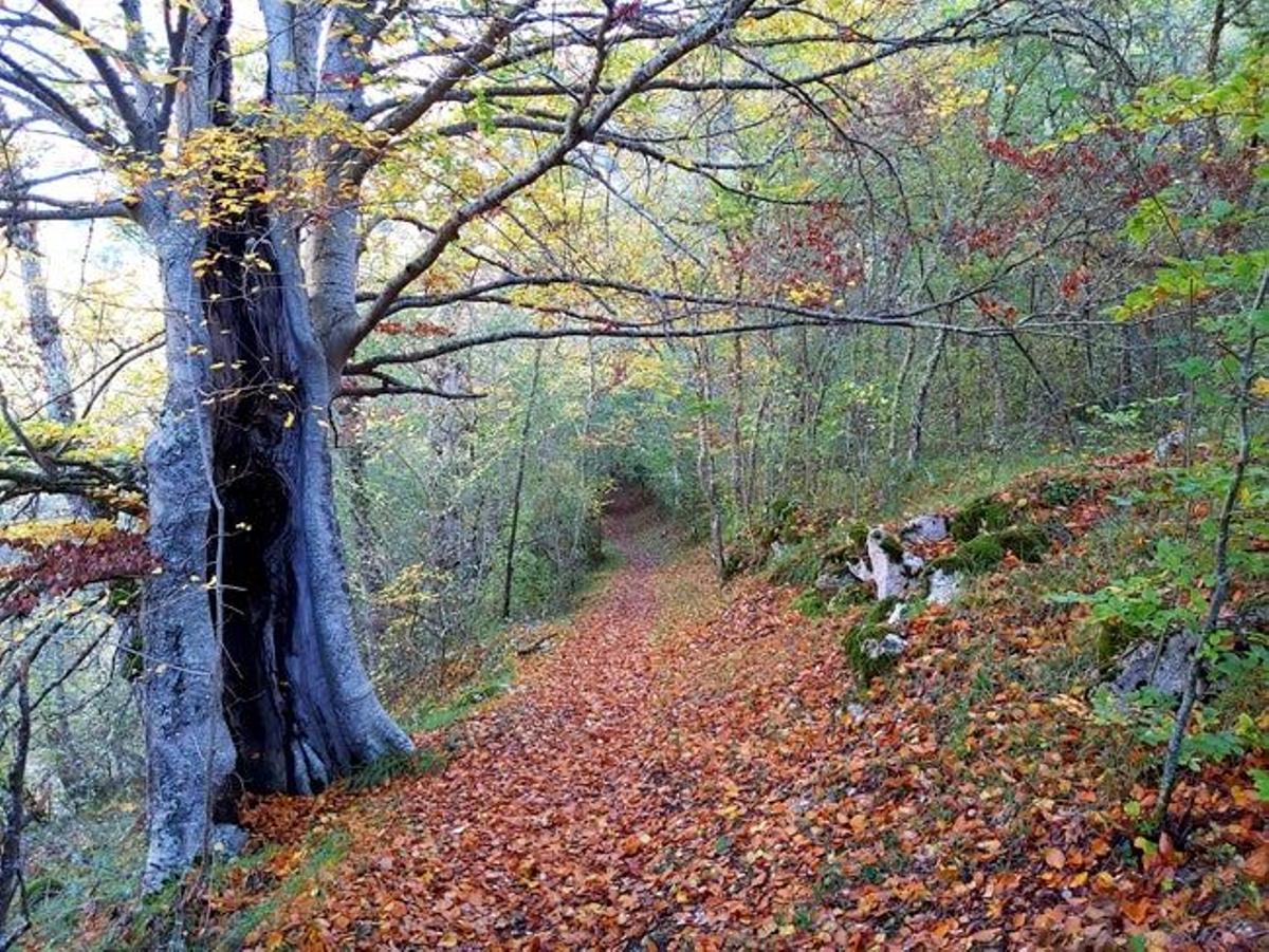 Rivera del Río Ebro, cerca de Orbaneja del Castillo, en Burgos