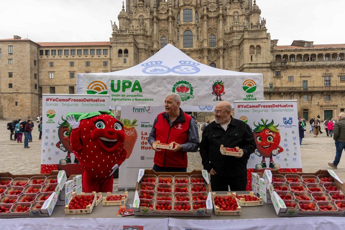 Reparten fresas de Huelva en la plaza del Obradoiro para promover su "calidad y garantía"