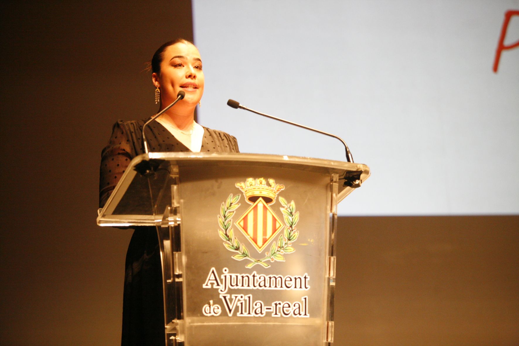 Todas las fotos de la XIII Gala de les Penyes de Vila-real