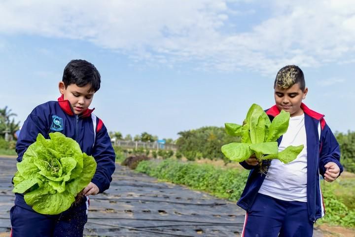 Visita escolar a la Granja Agricola del Cabildo