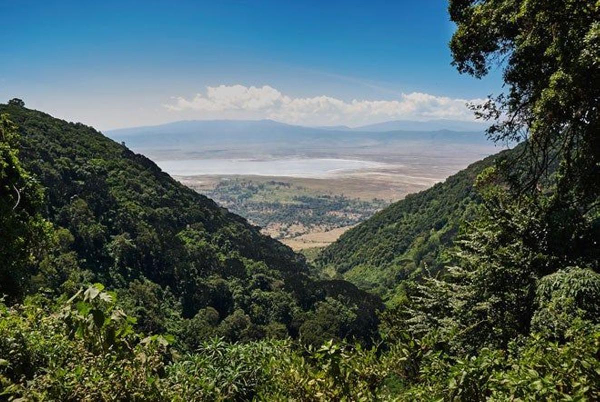 Zona de conservación de Ngorongoro