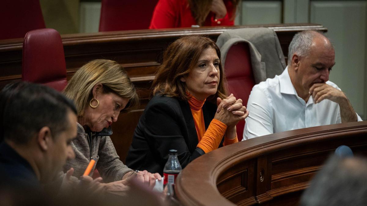 Los diputados de NC-Bc en sus escaños del Parlamento.