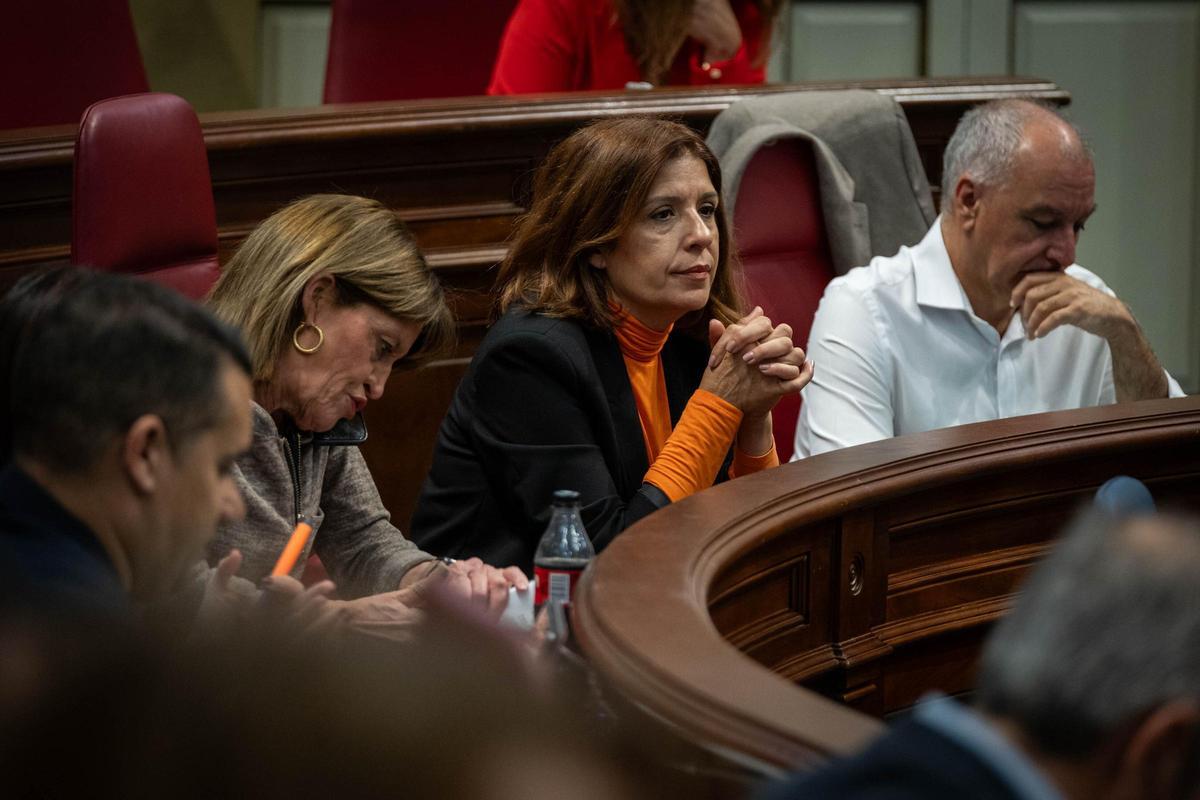 Los diputados de NC-Bc en sus escaños del Parlamento.