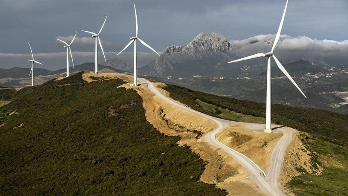 En pie de guerra por las energías renovables