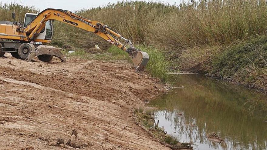 Trabajos de limpieza de la ribera del barranco para reintroducir la flora autóctona.