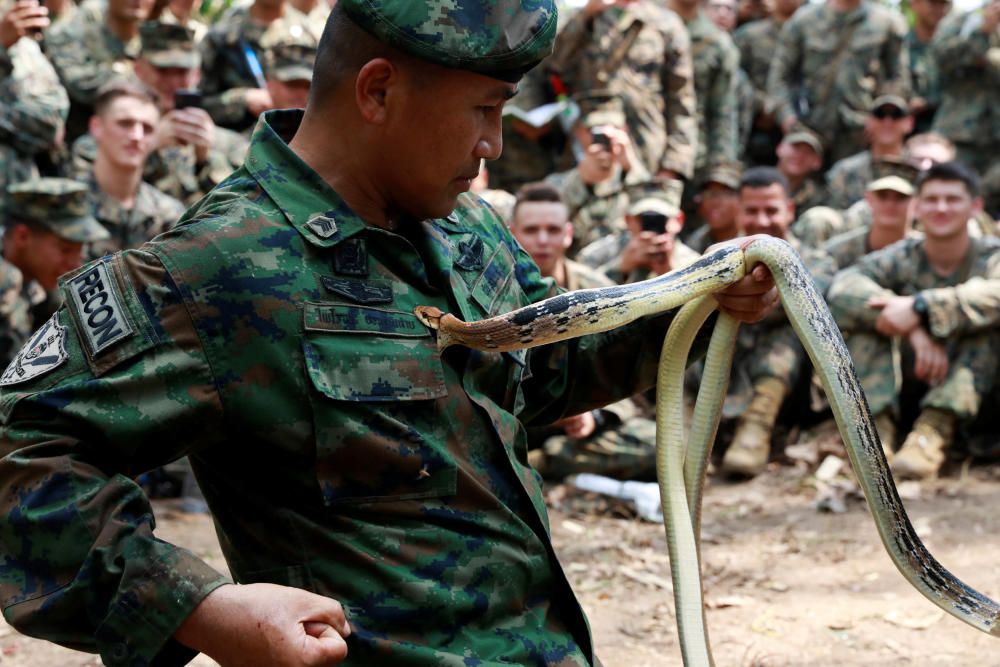 Tailàndia acull el «Cobra Gold», trobada militar anual