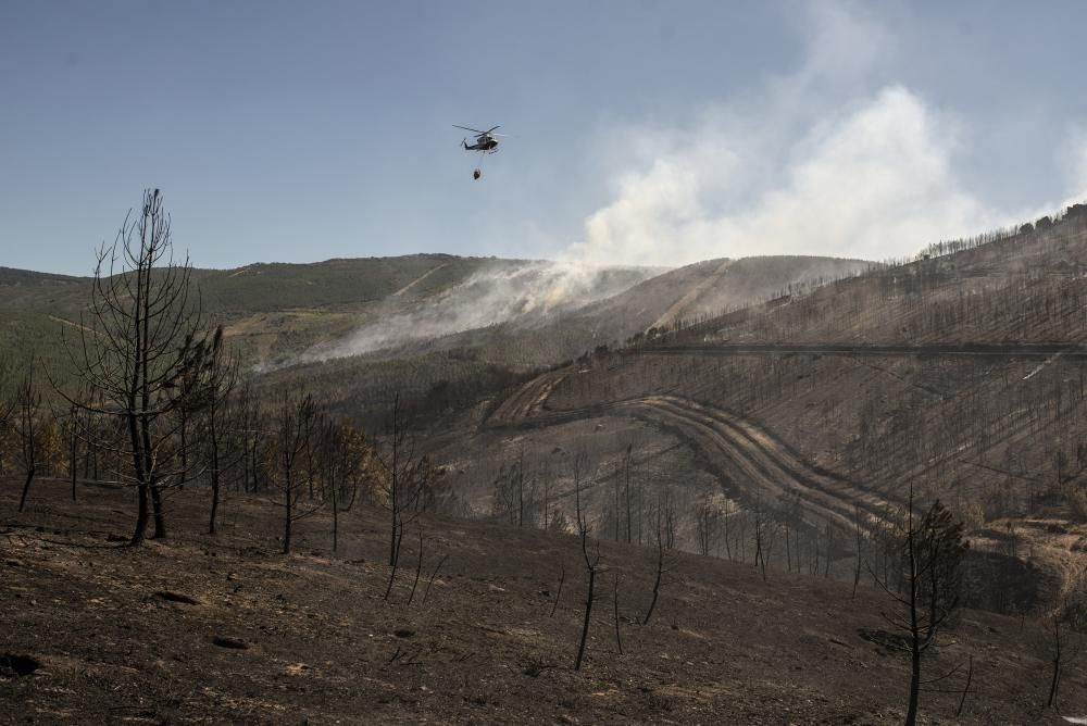 Verín, en alerta por un incendio forestal