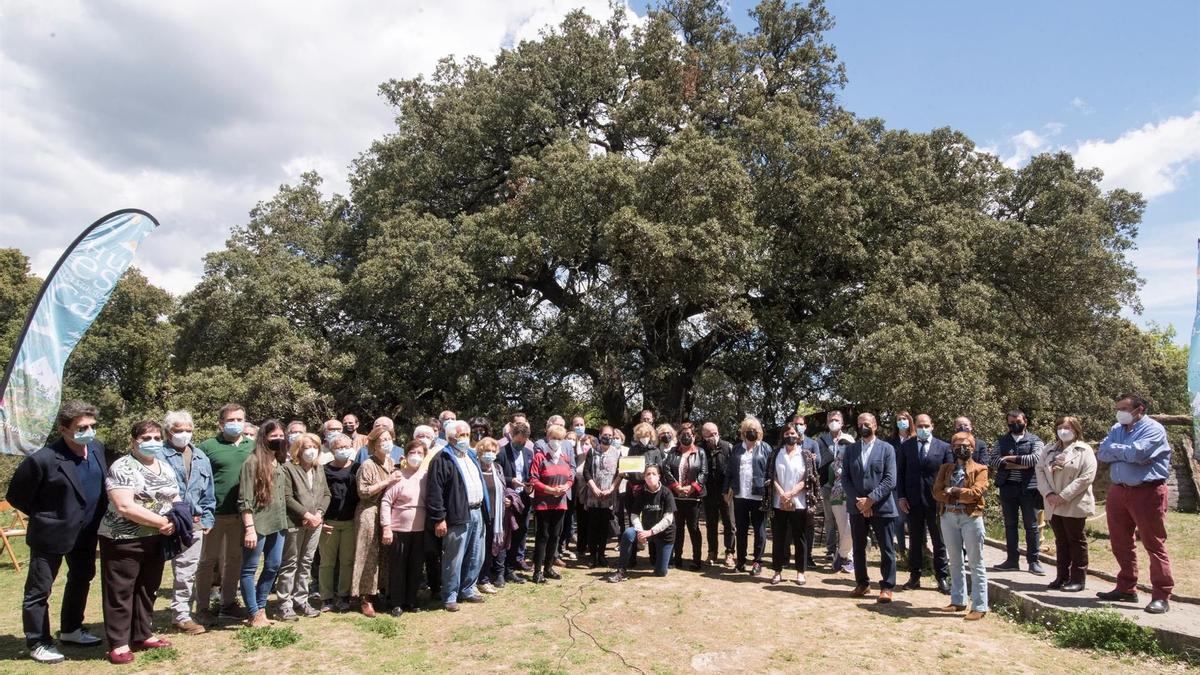 Foto de grupo tras la entrega del diploma del Árbol Europeo del 2021 a la carrasca milenaria de Lecina