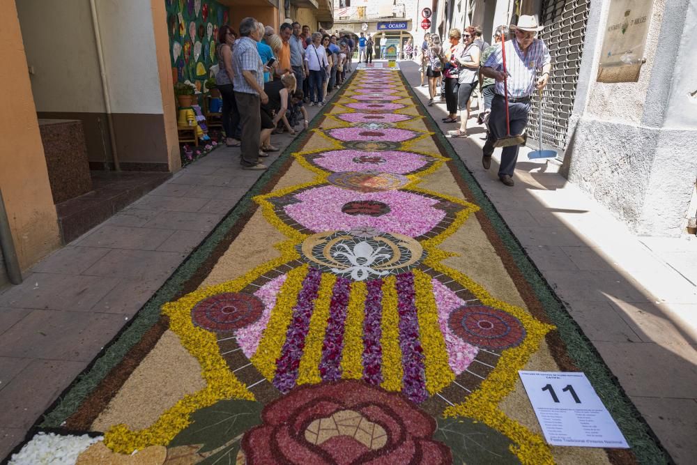 El concurs de catifes de flors naturals omple Arbúcies